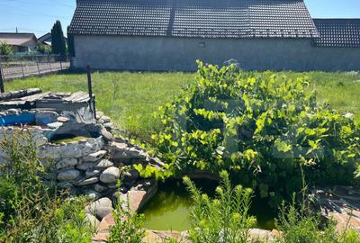 Casa 309 mp, teren 1083 mp, Ru?ii-Mun?i - 7