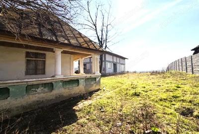Casă cu Teren 1490 Mp în Proaspeți - 4