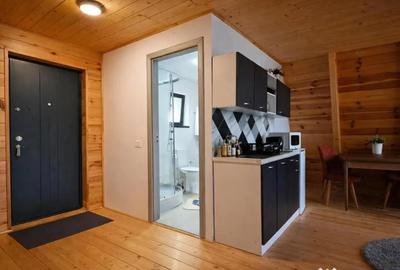 Casă cu 9 camere cu Teren 4000 Mp în Moieciu - 8