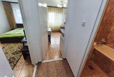 Garsonieră decomandată în Delfinariu - 5