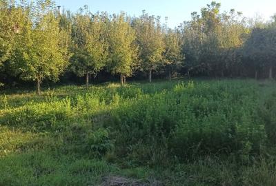 Casă cu 4 camere în Stupini - 7