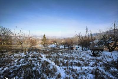 Casă cu 5 camere cu Teren 4000 Mp în Răducăneni - 2