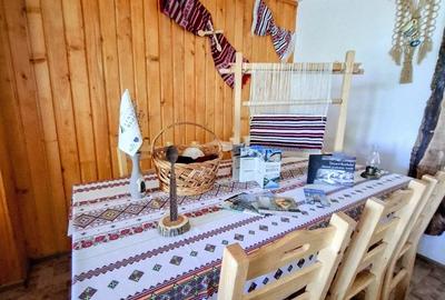 Pensiune in Bisoca, zona manastirii Poiana Marului - 8