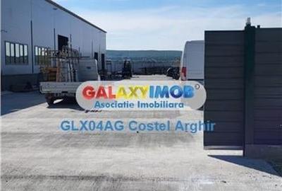 Vindem teren intravilan curti constructii12600 mp, hala noua 1050 mp - 2