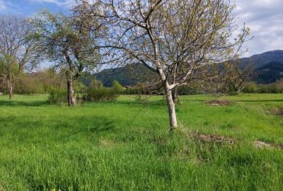 Teren splendid Vaduri cu utilitati si vecini de calitate - 2