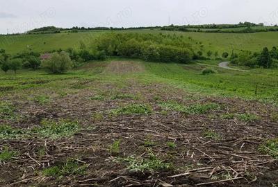 Teren de 2900 mp, în Căianu - 9