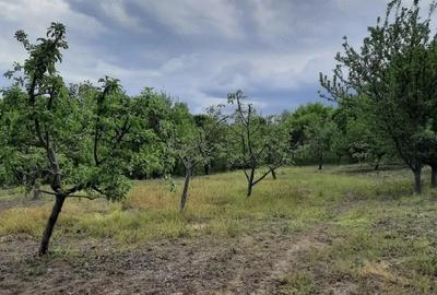 Teren de 2200 mp, în Romos - 2