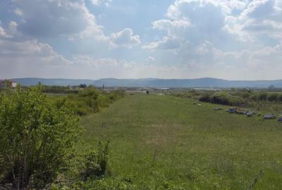 Teren Construcții intravilan de 5760 mp, în Periferie - 1