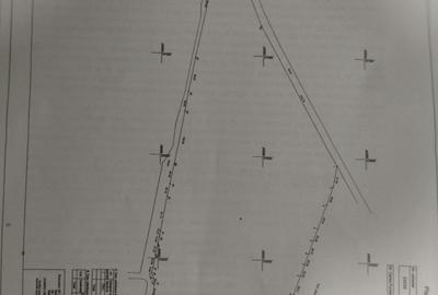 Teren Construcții intravilan de 181359 mp, în Dumbrăvești - 4