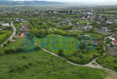 Teren de vanzare, Com. Racova, Str. Bradului, Bacau - 7