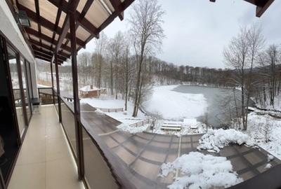LAC MOGOSA, vila D+P+E+M cu 3ari teren!