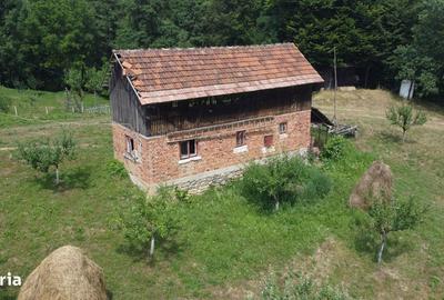 Spațiu comercial, în Cicănești - 10