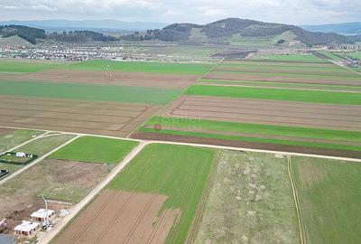 Teren intravilan - 16