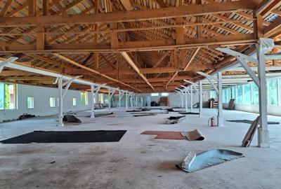 De Vanzare Fost Hotel in Bucovina Pret 106.000 € Neg. Aștept Variante - 5
