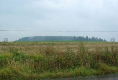 Teren , Miercurea Ciuc , Jud Harghita - 3