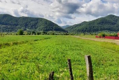 Teren de 3382 mp, în Viișoara