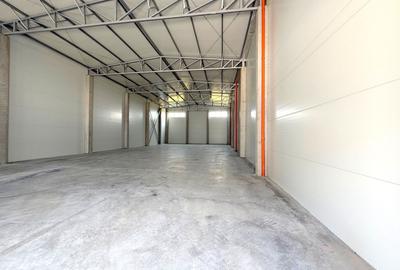 Hală de închiriat – Calea Șagului, Timișoara - 2