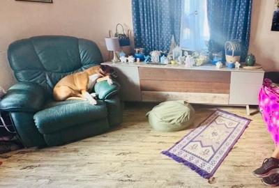 Casă cu 4 camere în Central - 1