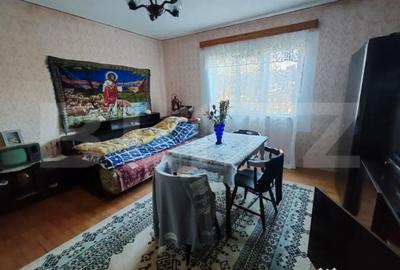 Casă cu 1 camere cu Teren 3000 Mp în Aluniș - 17