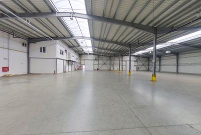 Spațiu industrial, de 5,060 mp, în Sud-Vest - 4