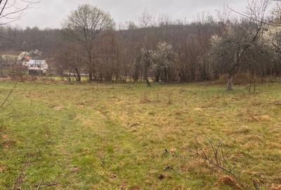 Spațiu comercial, în Sintești - 3