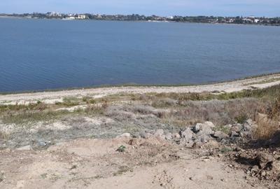 Spațiu comercial, în Sud