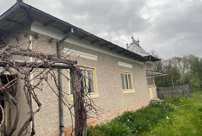 Casă cu 4 camere în Dănicei - 7