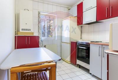 Apartament cu 2 camere decomandat, mobilat în Gruia - 3