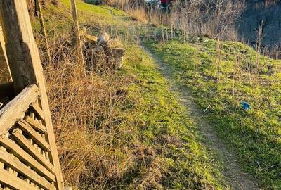 Spațiu comercial, în Rasova