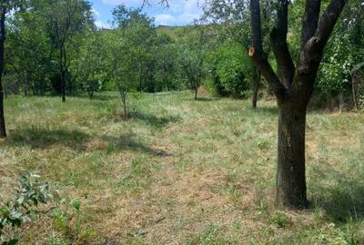 Vand casa si teren,acte la zi,apa,lumina,gaze,put - 5