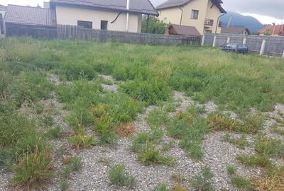 Teren Sacele-Lefrumarin Teren Sacele-Lefrumarin - 4