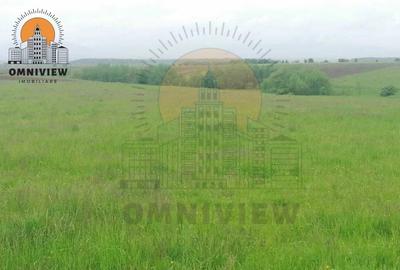 Ofertă Atractivă: Teren intravilan 47700 mp Dobolii de Jos, doar 20 km de Brașov - 6