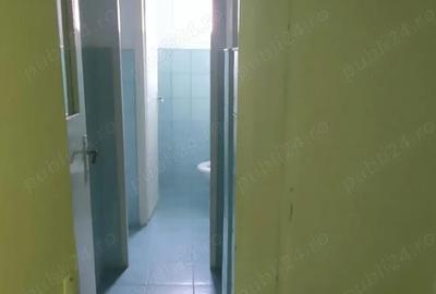 Spatiu comercial parter inalt Dacia de vanzare - 2