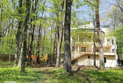 Apartament cu 4 camere în Băneasa - 13