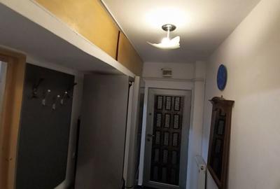 Apartament cu 2 camere semidecomandat în Milcov - 6