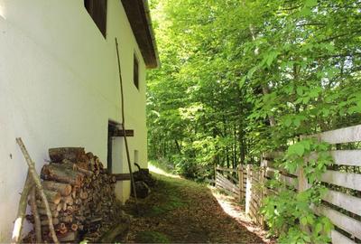 Casă cu 2 camere în Șugag - 6