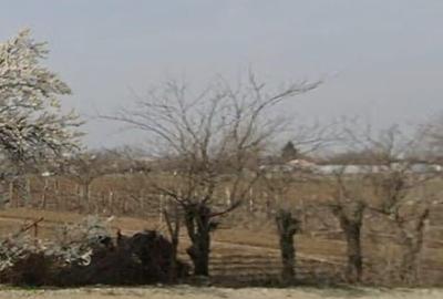 Teren centru Magurele Teren centru Magurele - 4