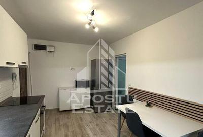 Apartament cu 2 camere semidecomandat în Șagului
