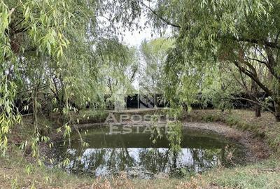 Casa individuala, teren 1500 mp, Sanandrei - 3