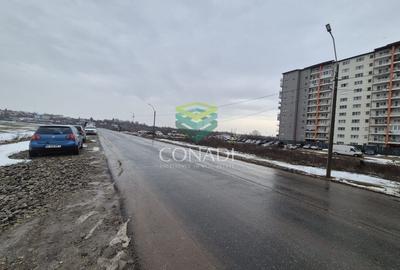 Teren Construcții intravilan de 2643 mp, în Nord - 4
