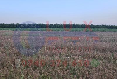 ID 7847 Teren INTRAVILAN pentru casa in Sat MINERI - 5