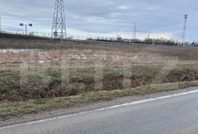 Teren de 16000 mp, în Giroc - 3