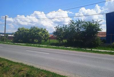 Teren de 4400 mp, în Cărpiniș - 8