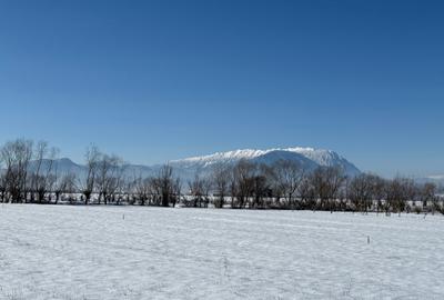 Teren intravilan la 10 km de Ghimbav - 8