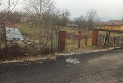 Spațiu comercial, în Goranu - 4