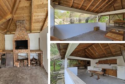 Comuna Budeasa Mare, Arges - 4