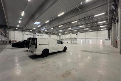 Spațiu industrial, de 670 mp, în Exterior Vest - 12