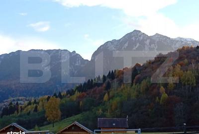 Spațiu comercial, în Paltin - 2