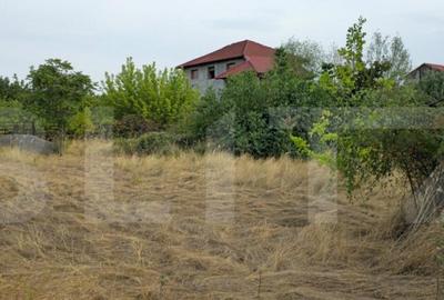 Teren intravilan 704 mp, zona Bariera Vilcii - 4