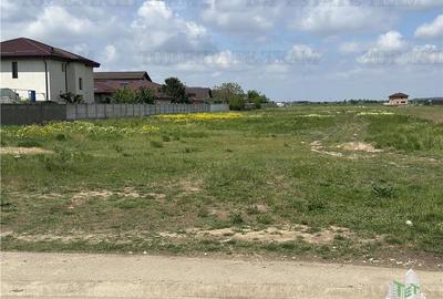 Teren intravilan 1.7 ha Dragomiresti Vale-Zurbaua, deschidere 34m la strada asfa - 5